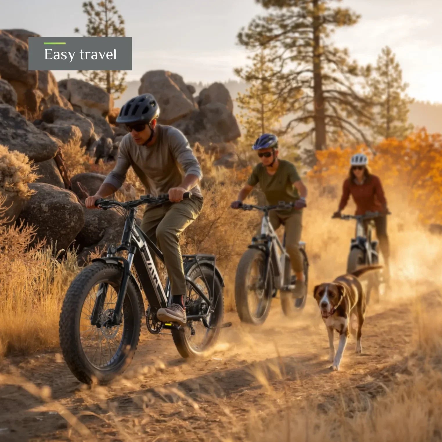 Defender 26" Fat Tire Ebike For Adult