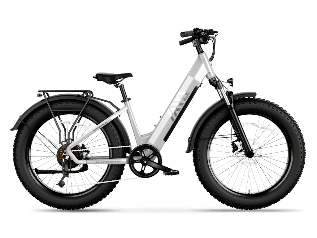 Dreamer 26" Step-Thru Fat Tire Electric Bike